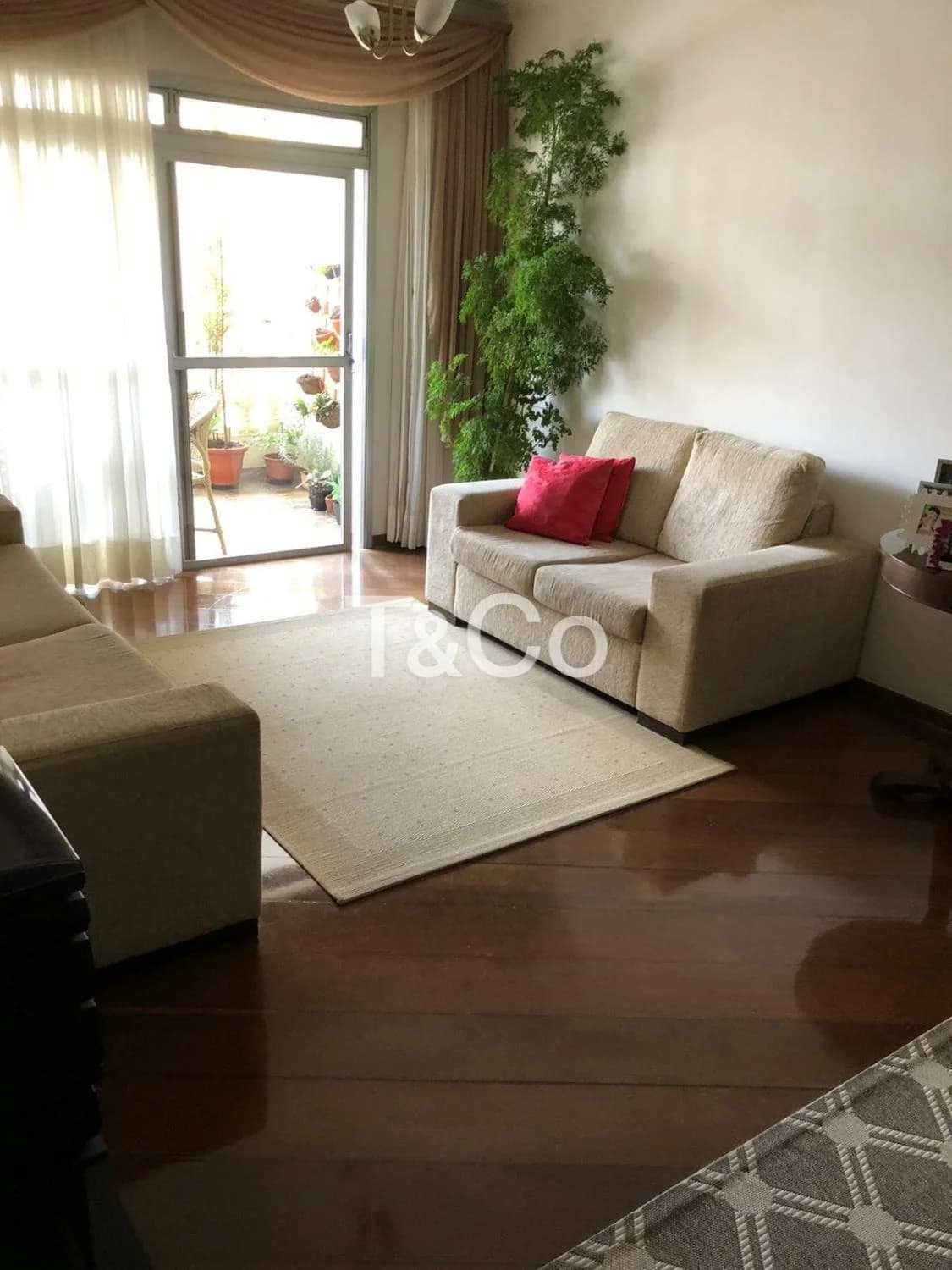 Apartamento À Venda Com 3 Dormitórios No Cambuí Em Campinas