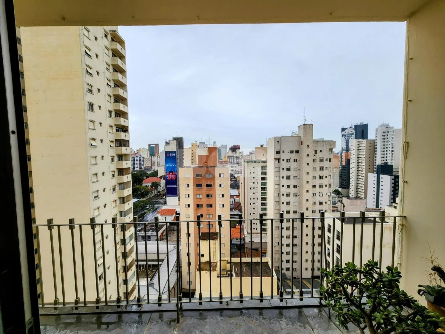 Apartamento À Venda Com 3 Dormitórios No Cambuí Em Campinas