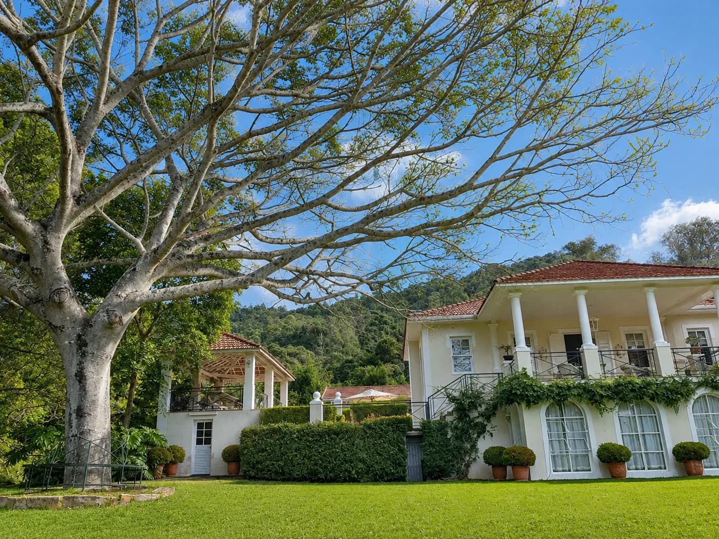 Sítio Com Casarão À Venda Em Joanópolis Com 4 Suítes