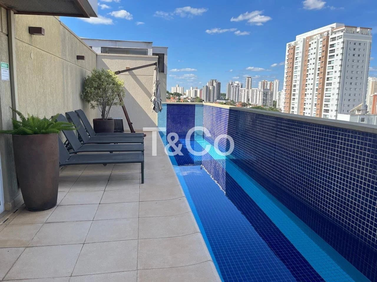 Apartamento Para Alugar Com 1 Dormitório No Cambuí Em Campinas
