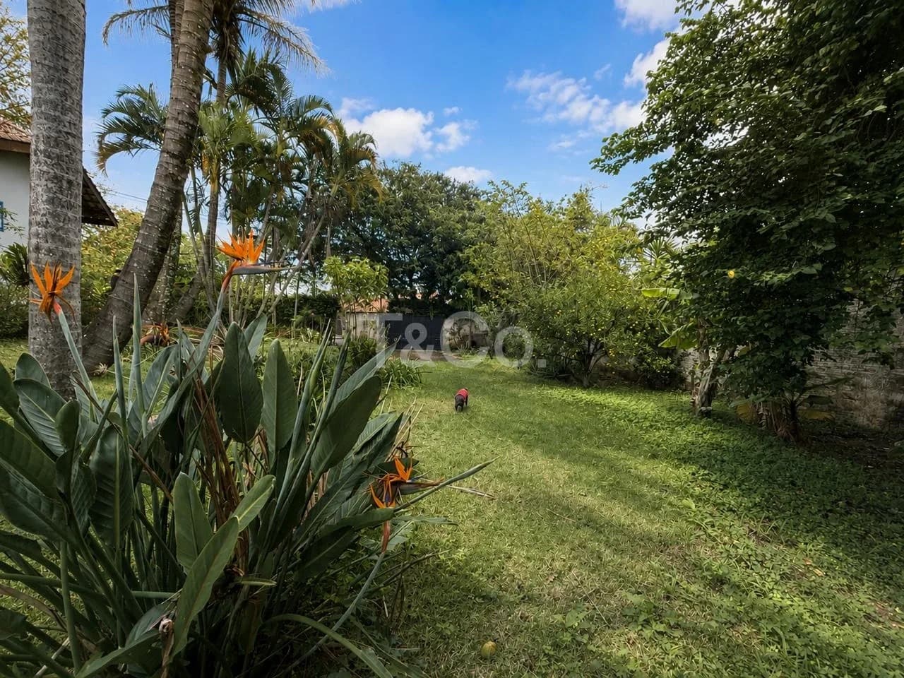 Terreno À Venda No Caminhos de San Conrado - Sousas - Campinas - SP