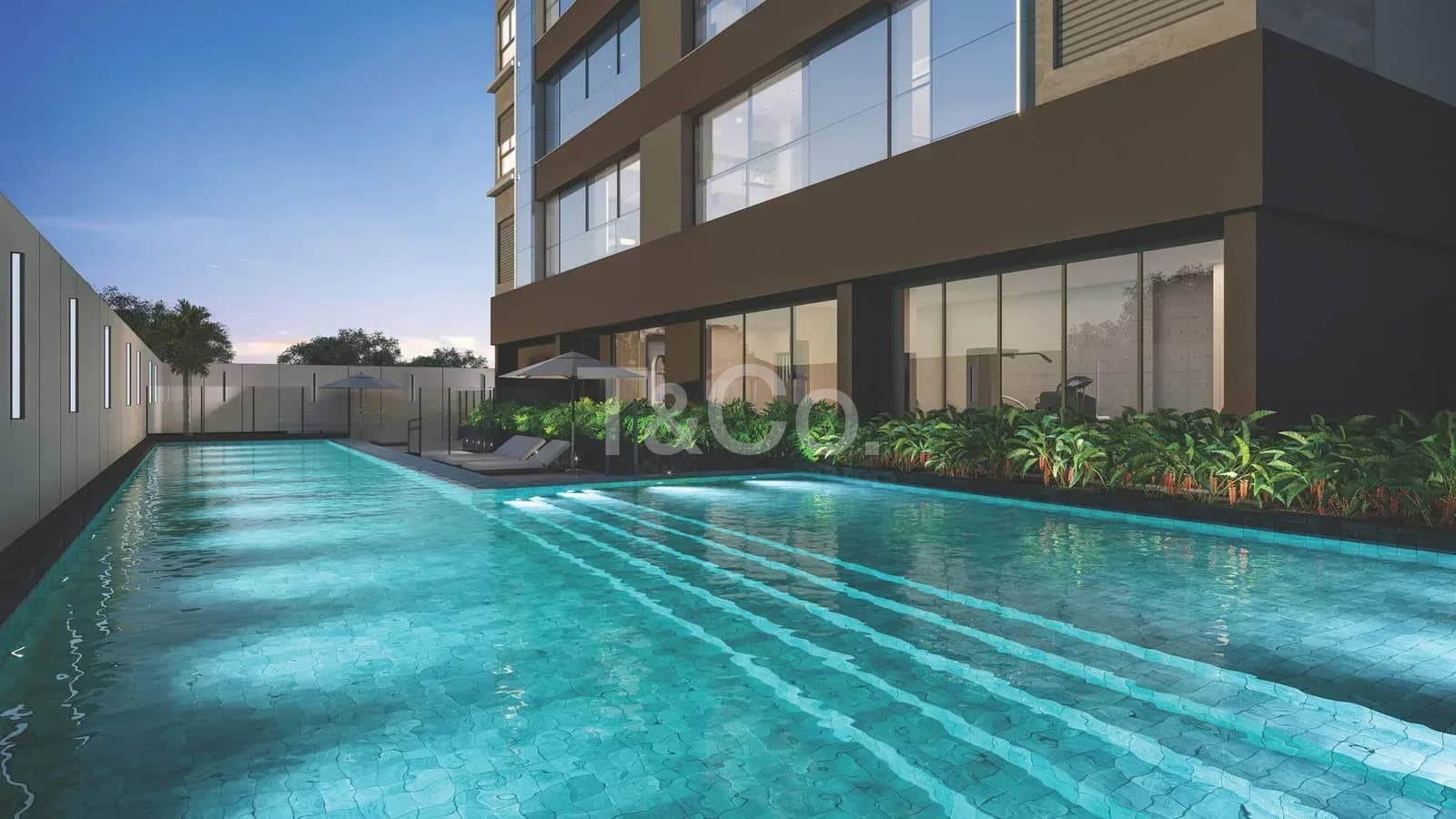 Apartamento 2 Suítes, Nunca Habitado Cambuí Campinas -Sp