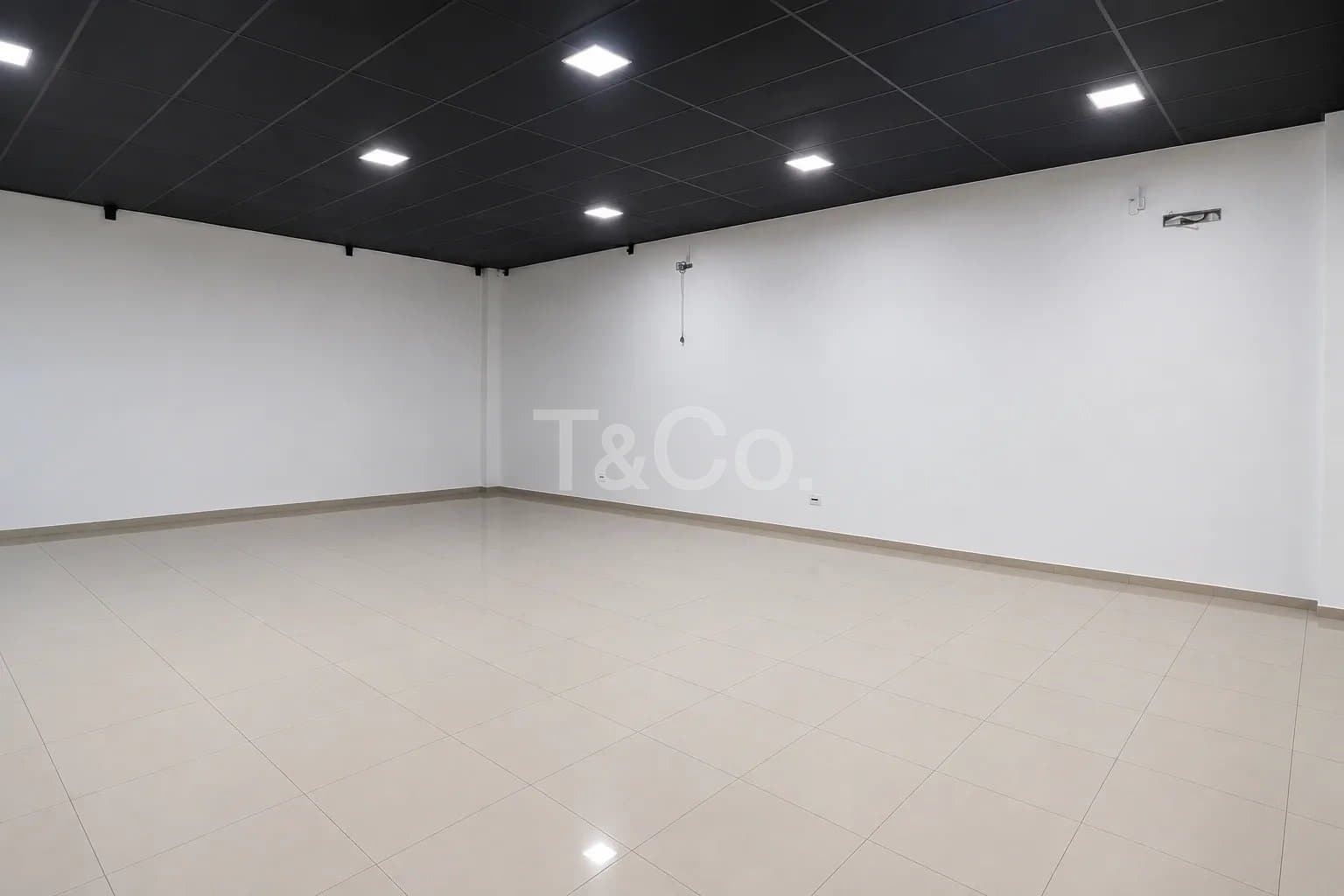 Salão Comercial Para Locação No Cambuí