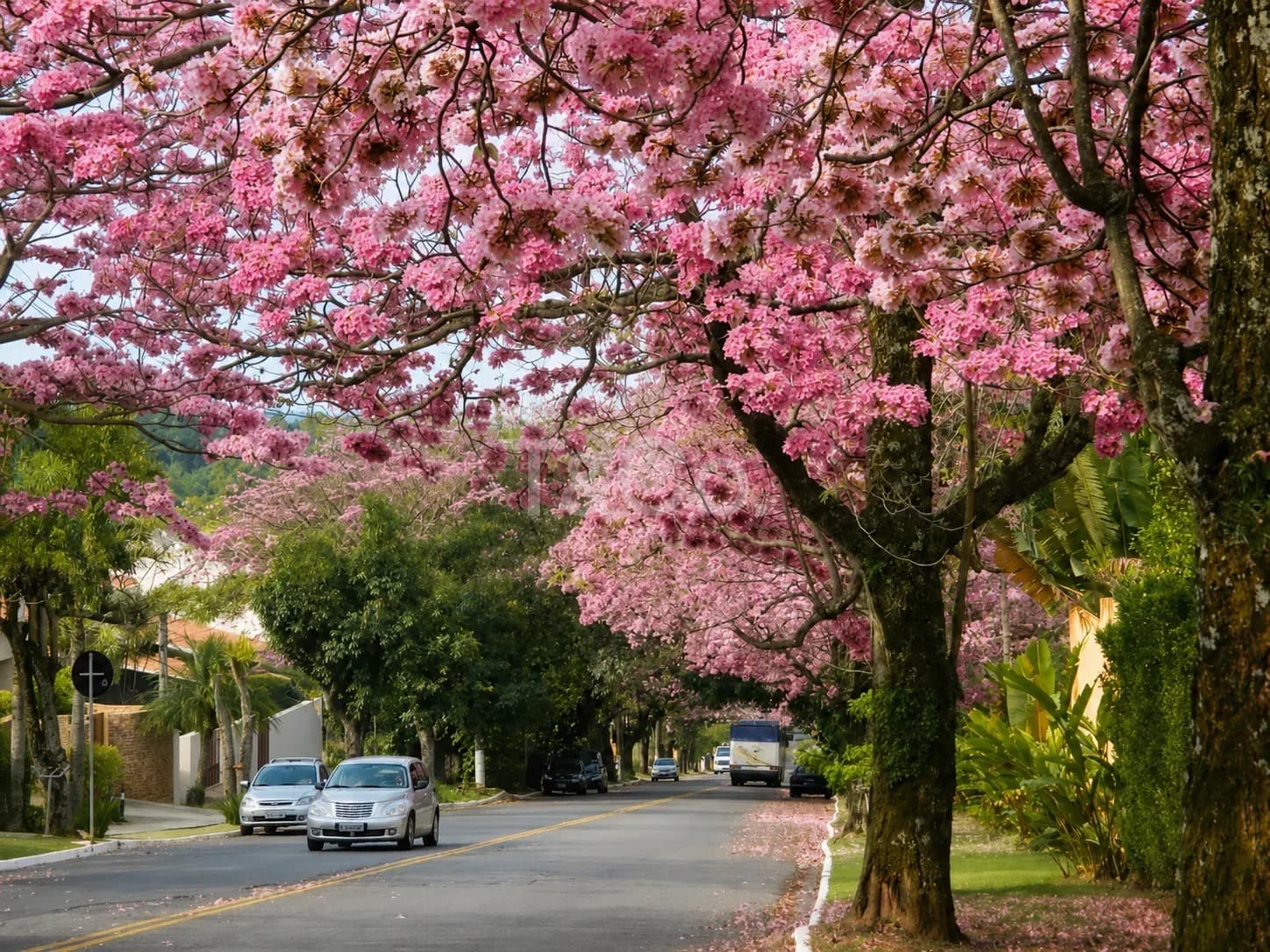 Terreno À Venda No Caminhos de San Conrado | Sousas | Campinas