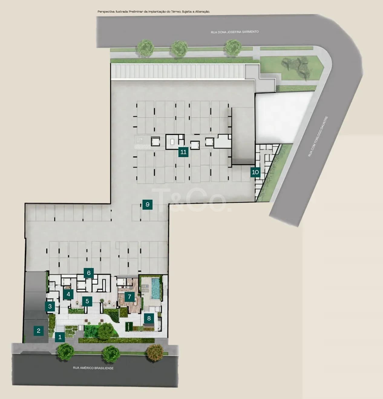 Planta