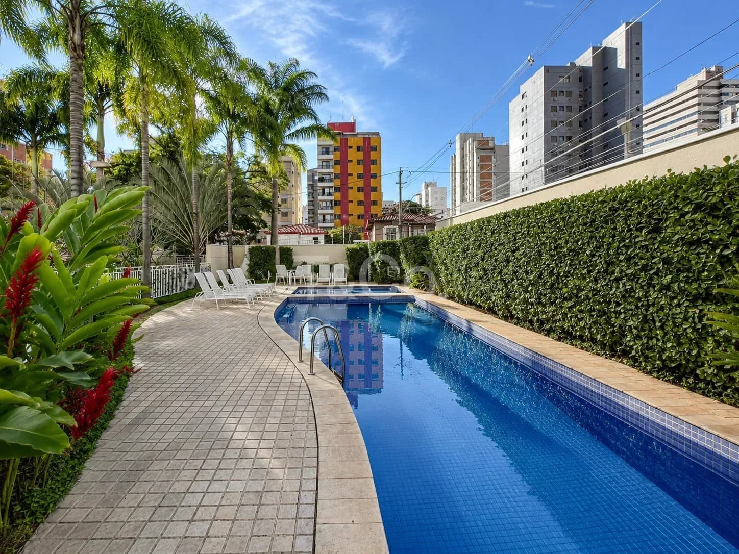 Apartamento 1 Quarto Mobiliado No Centro/Cambuí, Pronto Para Morar