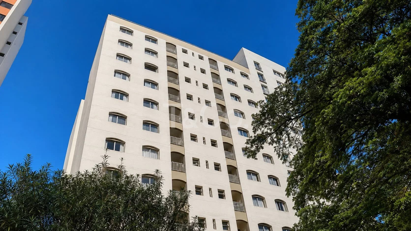 Apartamento 1 Quarto Em Vila Itapura Com Andar Alto