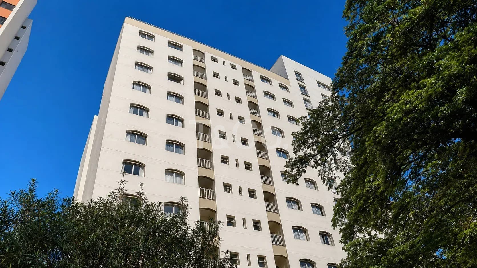 Apartamento 1 Quarto Em Vila Itapura Com Andar Alto