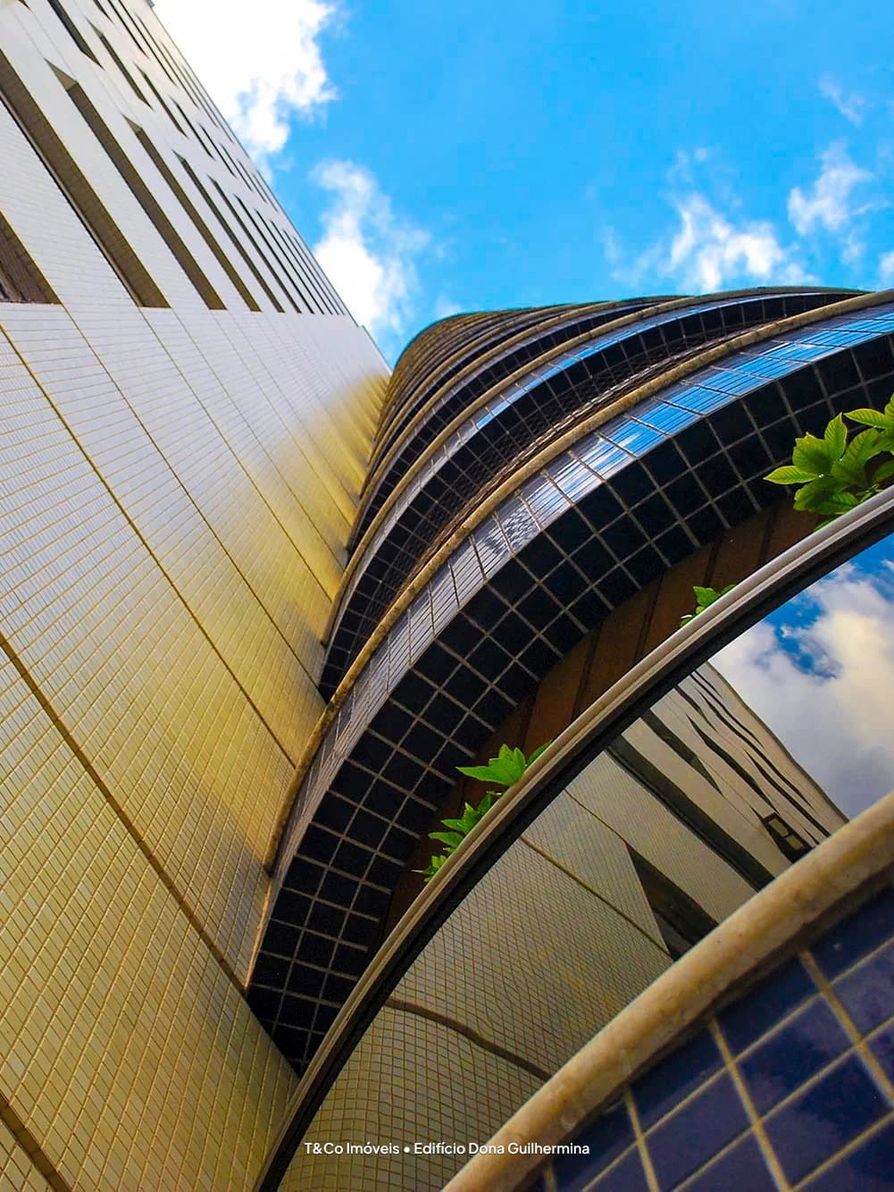 Edifício Dona Guilhermina em Cambuí, Campinas: Detalhe das varandas envidraçadas