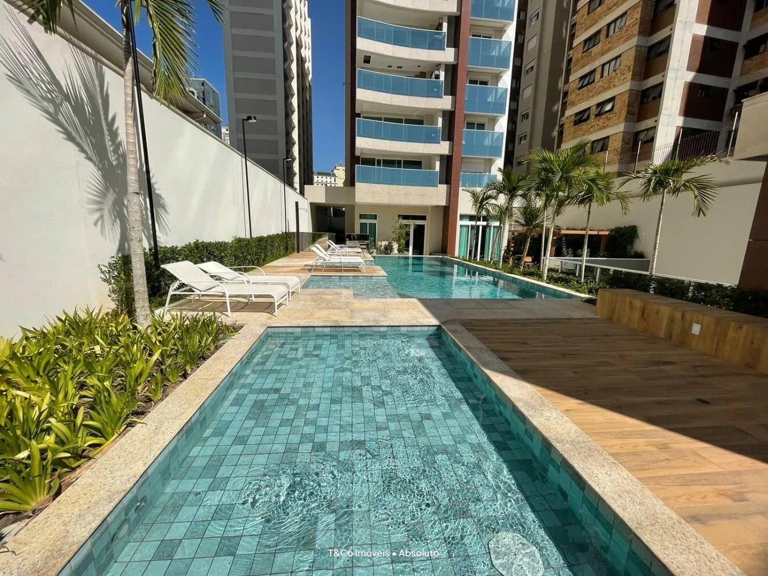 Absoluto em Cambuí, Campinas, foto 1 de 29